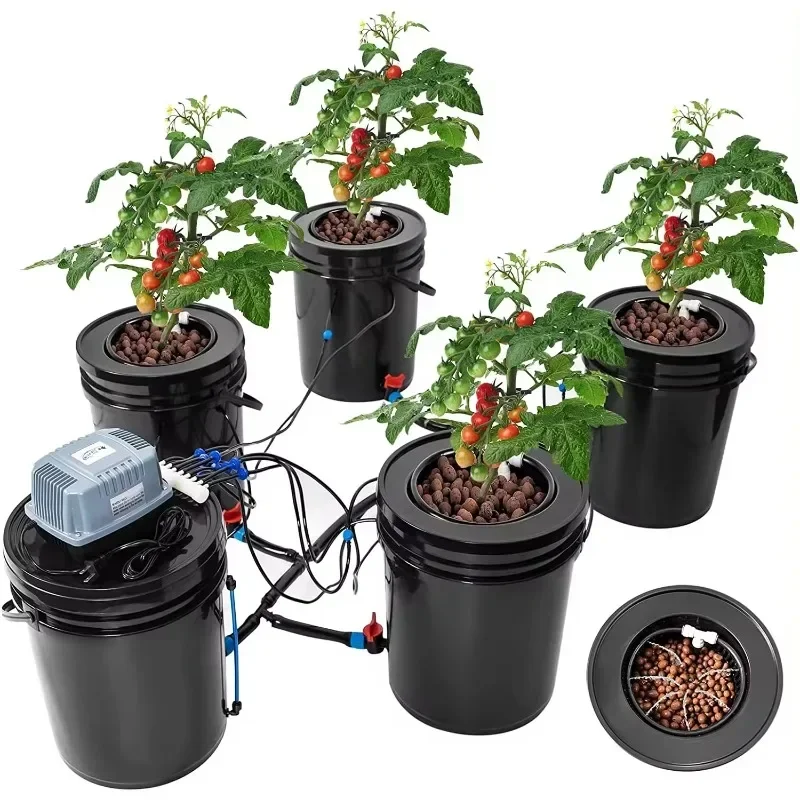 DWC 5 buckets recirculating Hydroponic system air pump and cycle pump clone bucket hydroponic container