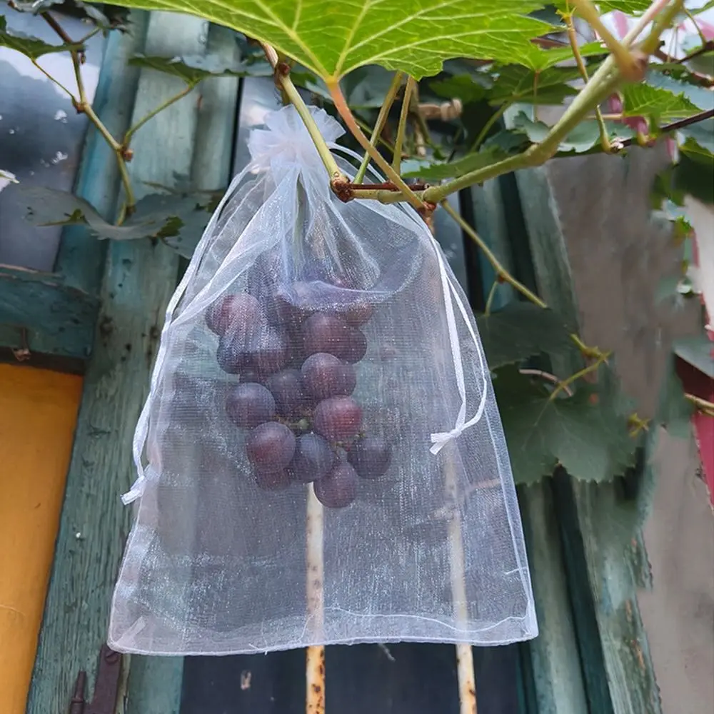 

100pcs Mesh Grapes Fruit Grow Bags Breathable Generic Plant Grow Bag White Vegetable Plant Protection Bags Garden Tools