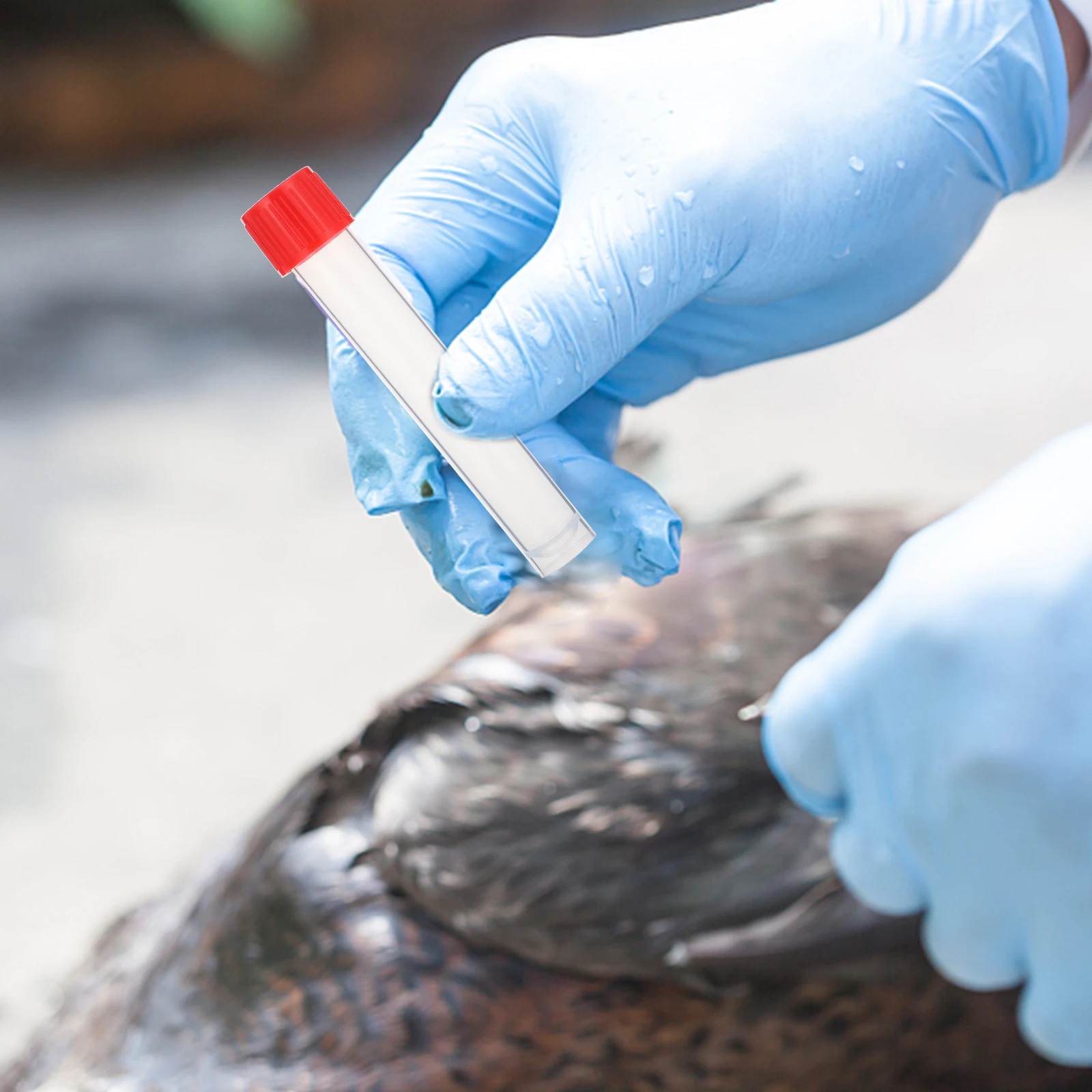 20 قطعة أنابيب اختبار عالية الجودة يمكن التخلص منها أنابيب الطرد المركزي للدم مجموعة عينات المستشفى أنبوب اختبار أنبوب اختبار المتاح