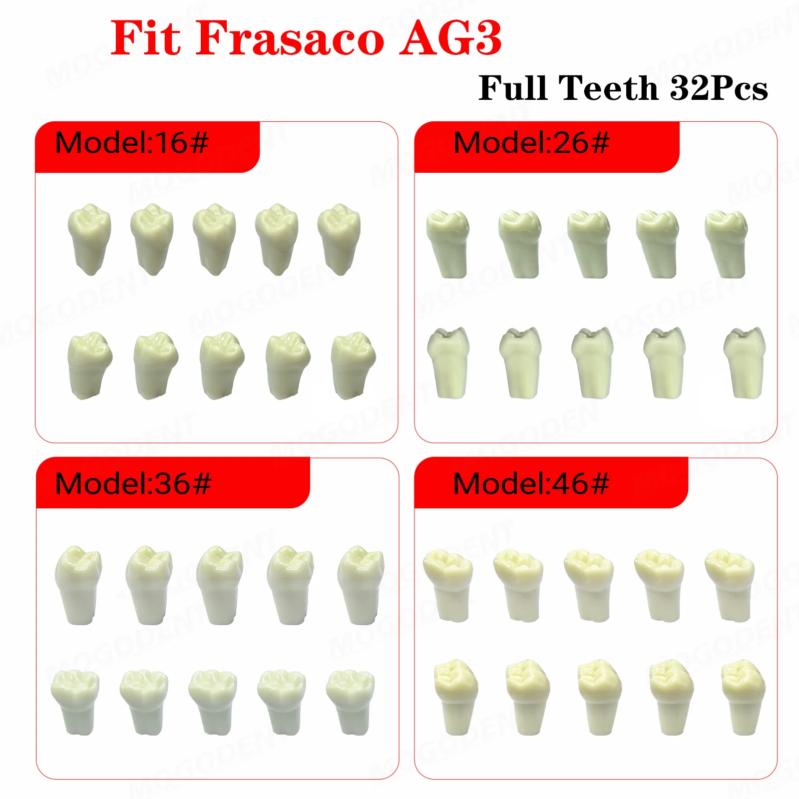 

Dental Teeth Model Fit Frasaco AG3 Type Full Teeth 32Pcs Screw-in Practice Filling Soft Gum GingivaeDentist Teaching Accessories