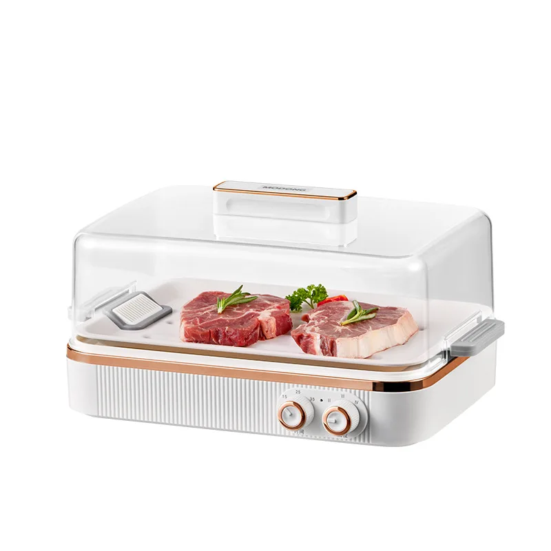 5L Capacity Household Constant Temperature Rapid Ice Thaw Master PTC Heating Food Defroster Frozen Meat Steak Rapid Thawing Tray