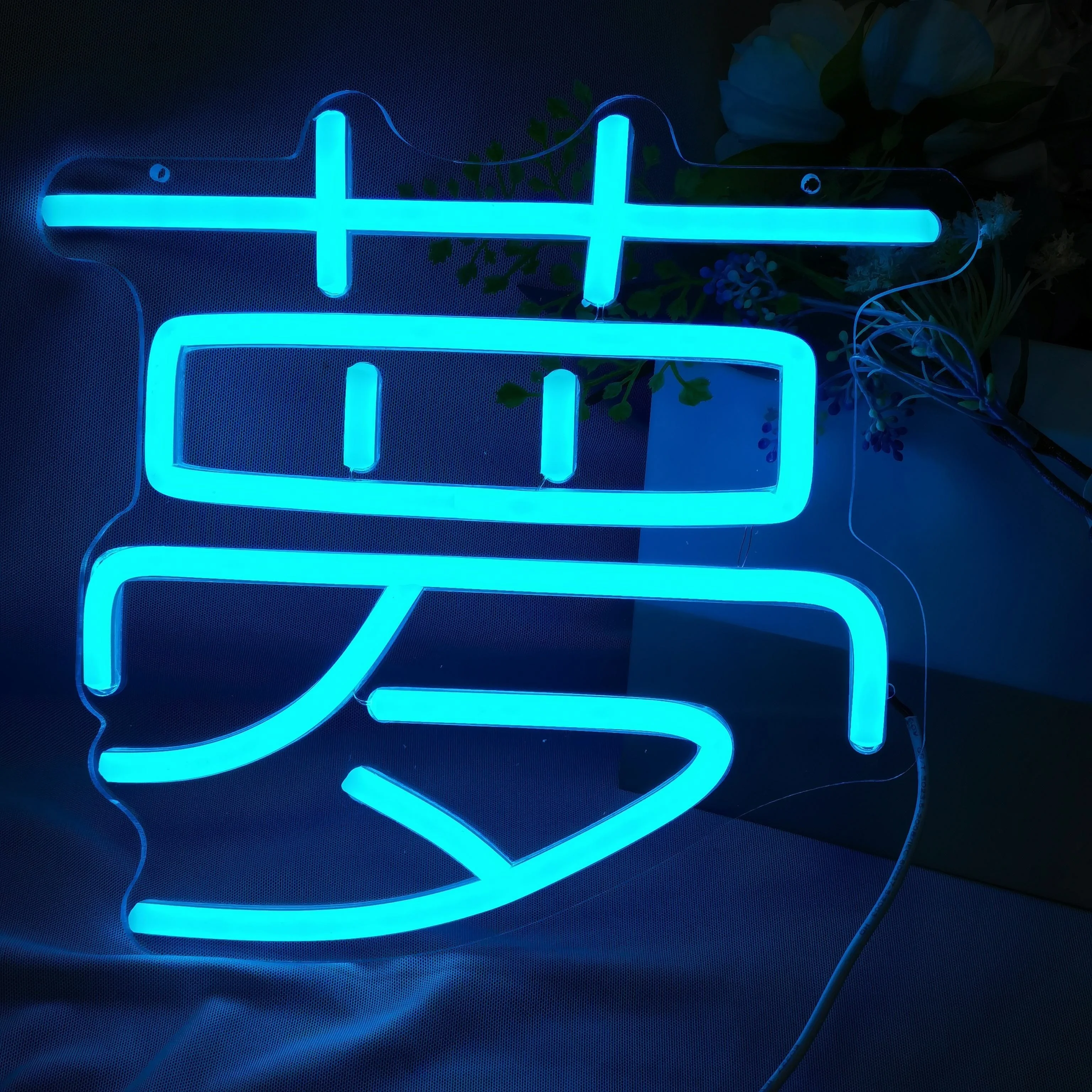 Japanese LED Neon Wall Decoration - Cute Anime Inspired Light Strip -USB Power for Bedroom, Game Room, Club, Bar Or Party Art