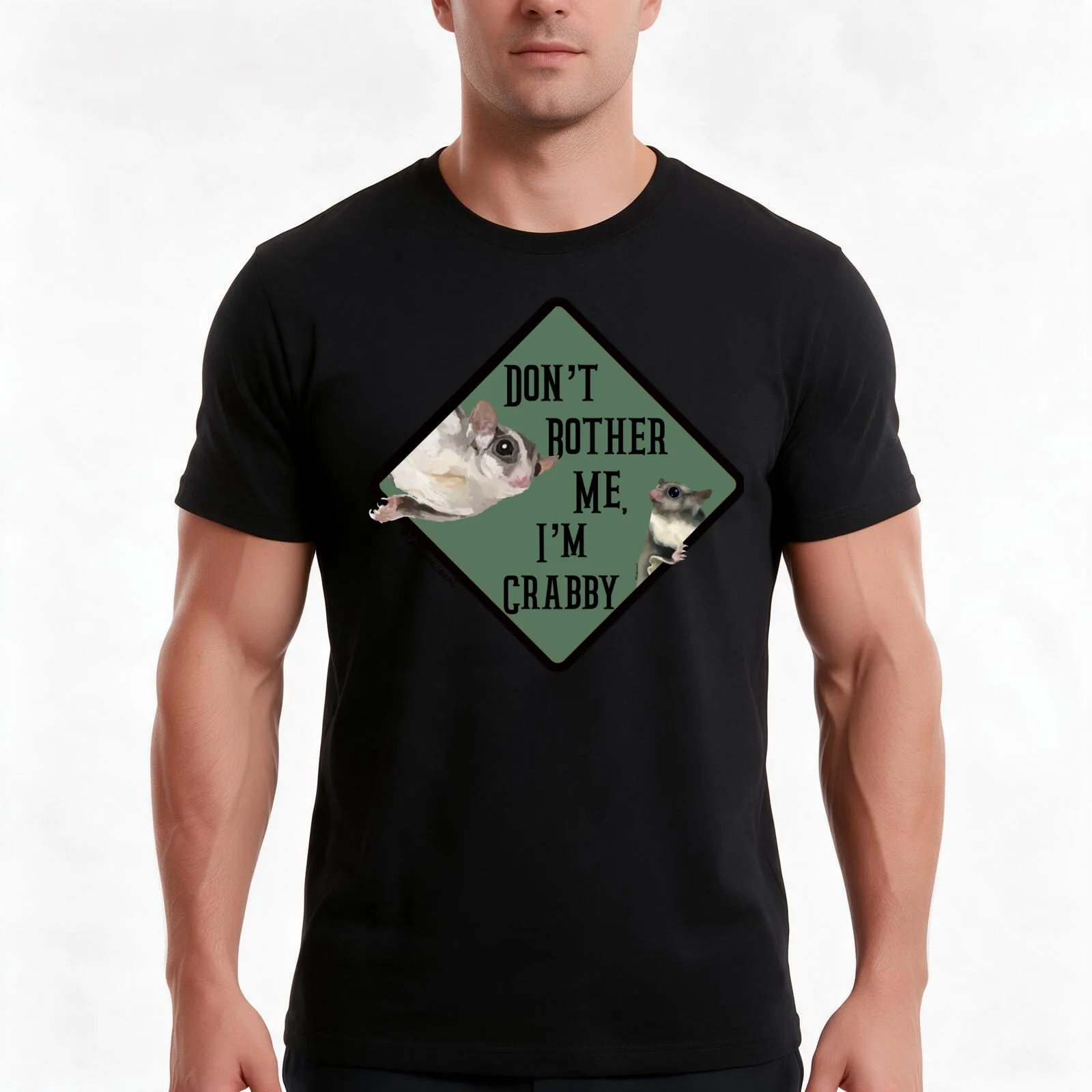 Don’t Bother Me I’m Crabby- Green T-Shirt, Summer Casual Cotton Tee, Oversized Streetwear Tops, Vintage Graphic Print