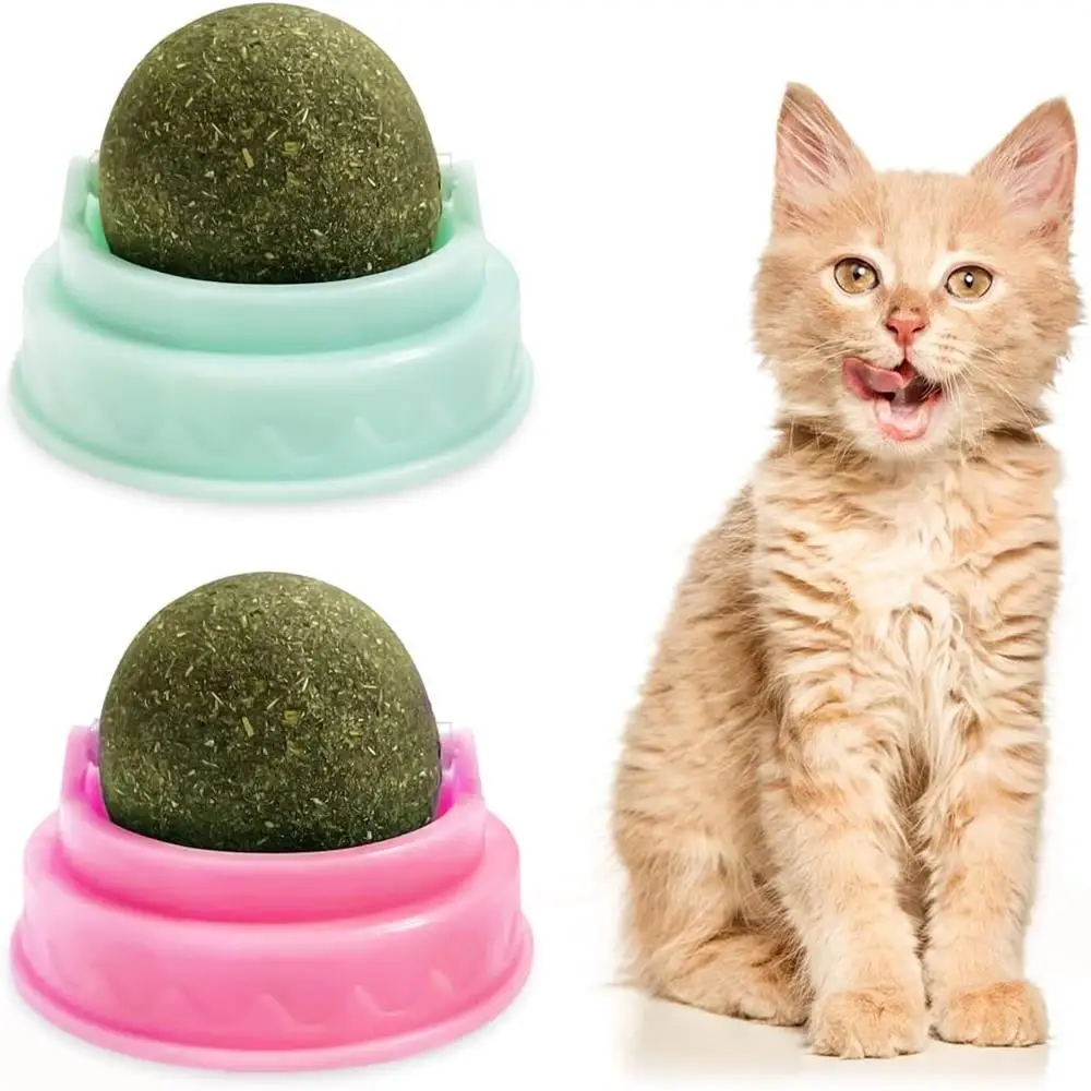 Cat Wall Ball Catnip Ball Mount  Edible Natural Catmint Chew Toys Rotatable Snack Ball Treats For Kitten Pet Teeth Cleaning