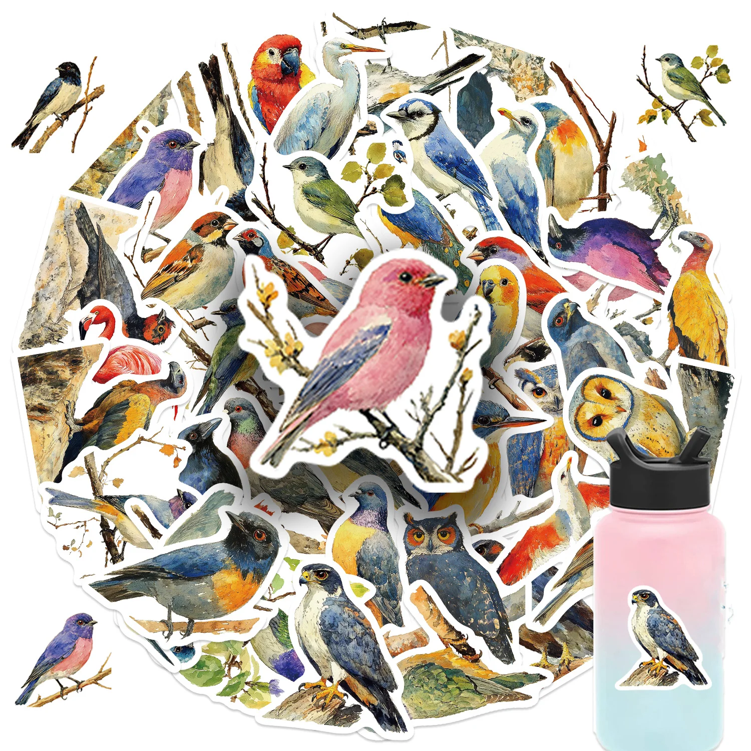 yZ[z50 GL]`bNȒ̐ʃXebJ[hėp\ȔIfJ[lpbvgbvXP[g{[hו