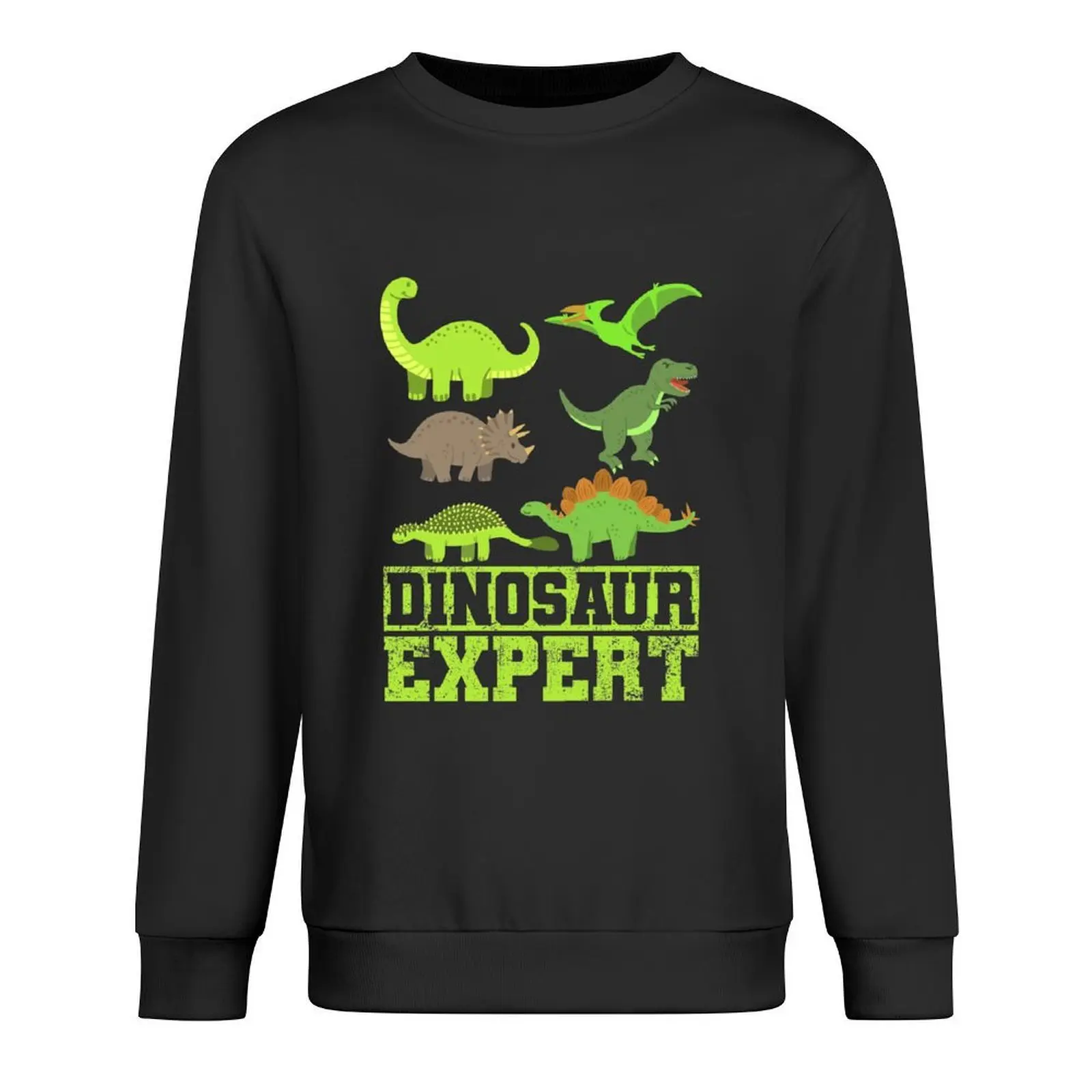 

Dinosaur Paleontologist Pullover men's autumn clothes men clothing men clothes korean style clothes sweatshirt