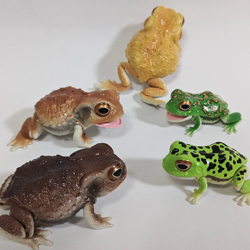 سلسلة بانداي غاشابون "موسوعة المخلق" - شخصيات العلجوم والضفدع قابلة للجمع، هدايا لعبة عرض برمائية قابلة للجمع