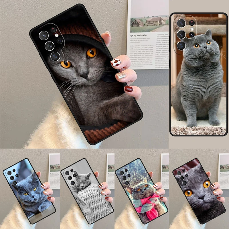 Grey British Shorthair Cat Silicone Phone Case For Samsung Galaxy note 10 pro S26 S25 S24 S23 S22 S21 Plus S25Ultra Capa Cover