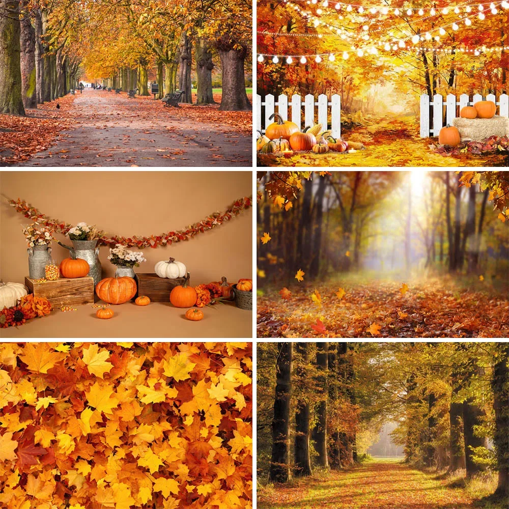 

Harvest Pumpkin Autumn Photography Backdrops Fall Forest Maple Leaves Nature Scene Newborn Baby Portrait Background Photo Studio