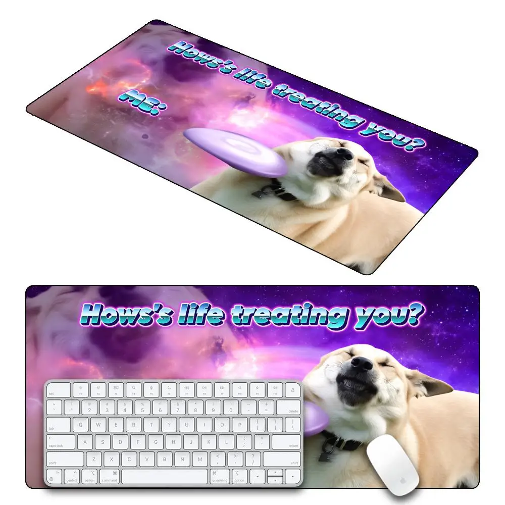 HYBXAXC Life is Soup I am fork Parody Playmat MTG TCG inches Rubber Stitch Mouse Pad Office Work Game
