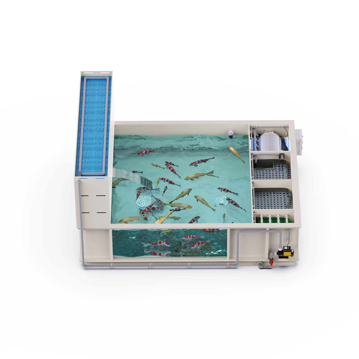 Aquarium Fish And Price - Factory Price Aquarium Fish tank Rotary