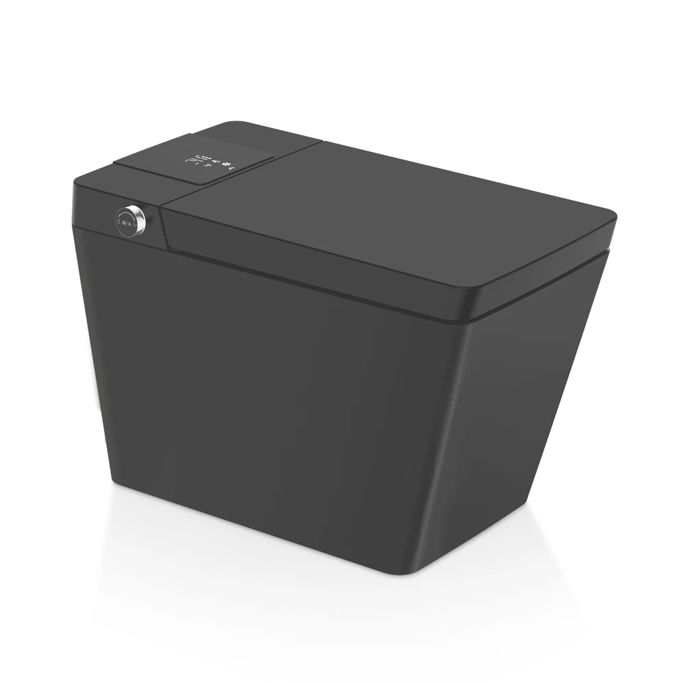 Filo d'acqua intelligente per bidet con filigrana automatica nera elettrica