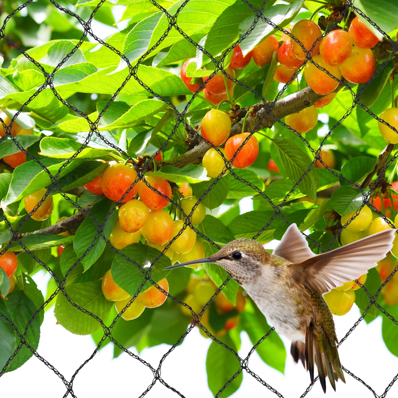 PE Woven Anti Bird Netting Fruit Protection Net Orchard Ponds Garden Supplies Poultry Best Fencing 4.5x6m 6x12m