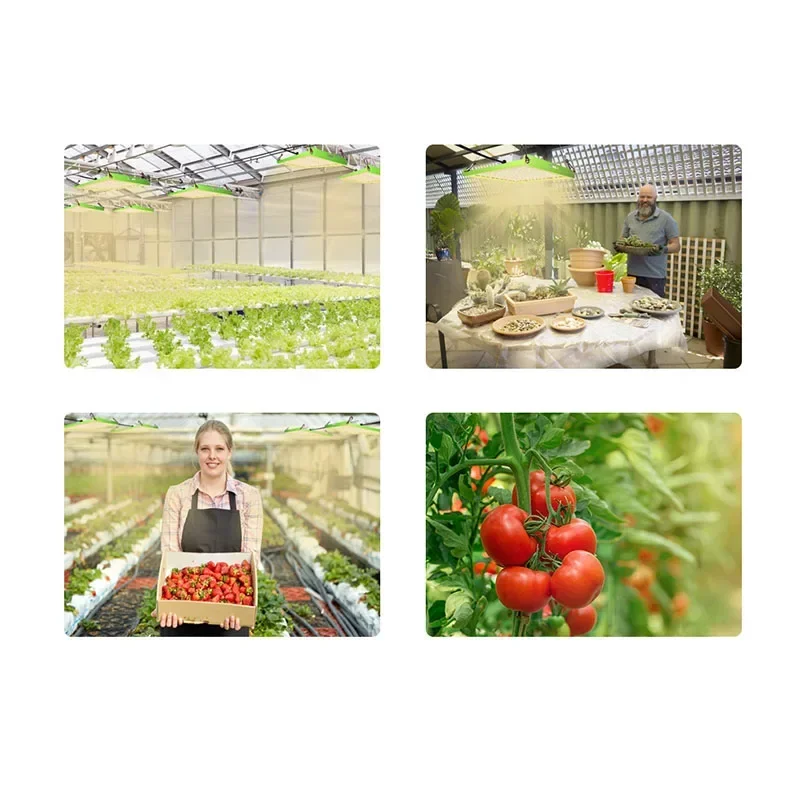 Atualizar TB 1000W Quantum Board LED Grow Light pode ser emendada para cultivo de vegetais hidropônicos internos