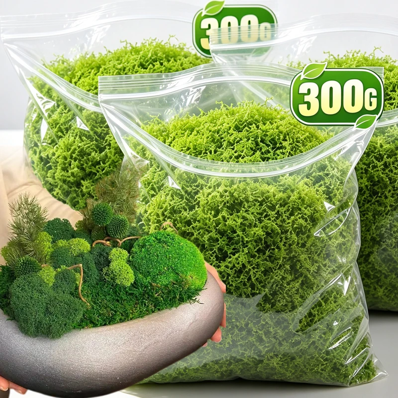 Sphagnum Moss Dry - Musgo Artificial de Vida Eterna, Césped