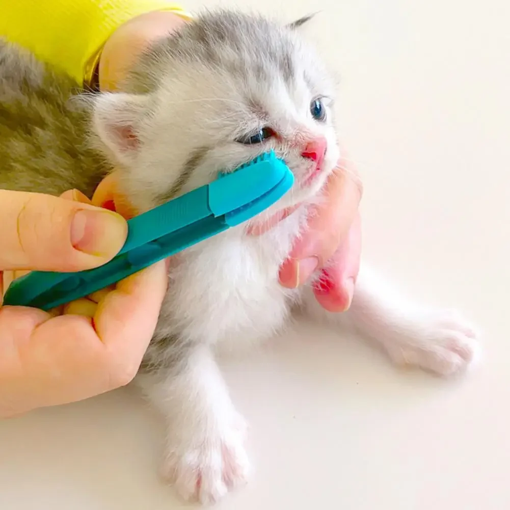 친환경 고양이 눈 문지름, 휴대용 고양이 눈 닦기, 눈 닦기, 똥 브러시 청소, 재사용 가능한 버클 디자인, 애완 동물 빗, 찢어진 얼룩 브러시