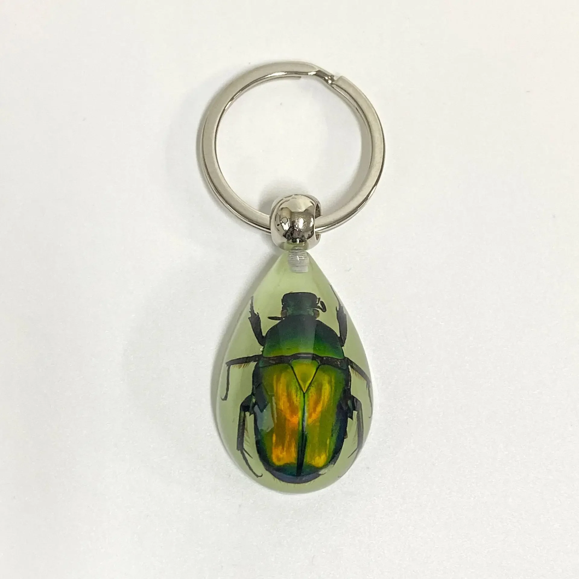 6 stuks insect specimen sleutelhanger, kunstmatige epoxyhars auto hanger, kantoorornament, insect amber hanger woondecoratie