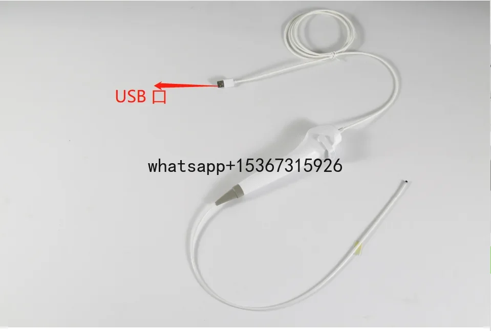 2024 Nasopharyngoscope China BESDATA Portable Low Price Flexible Endoscopy 3.8mm HD Rhinolaryngoscope For Examination Diagnose