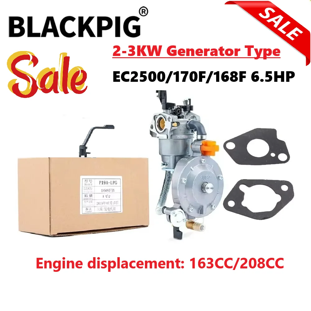 GX200 168F 170F Generator LPG Carburetor Dual Fuel NG Conversion Kit Gasolina Generator Parts 2KW 3KW 6.5HP EC2500 P19A-LPG