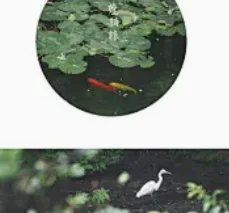 2 الدين رئيس وحدة راديو لتويوتا راش دايهاتسو تيريوس 2006-2016 اللاسلكية Carplay أندرويد السيارات أندرويد سيارة الوسائط المتعددة 7 "ستيريو