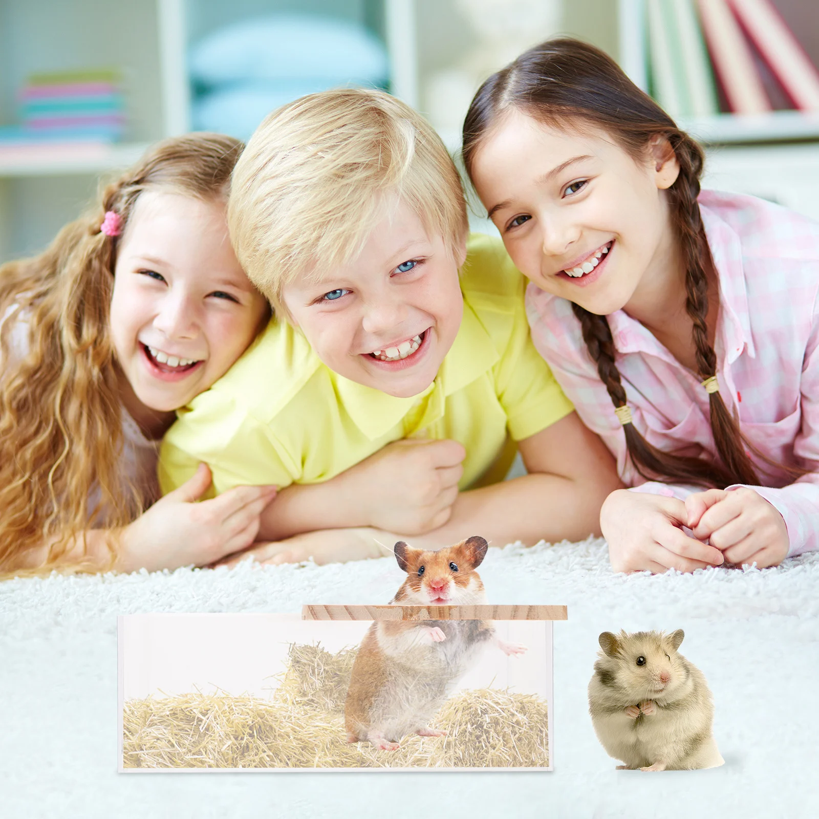 

1Pcs Sand Bath Box Acrylic Transparent Hamster Bathtub Small Pets Toilet Clear Shower Basin Sand Bath Container Pet Supplies