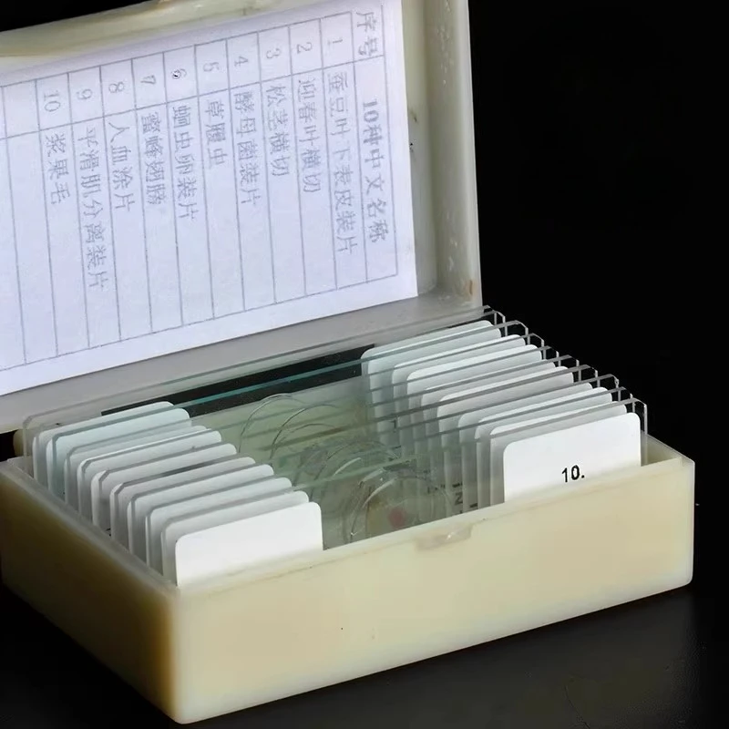 Prepared Glass Microscope Slides with Shockproof Box Biological Specimen Slide Set for Kids Science Experiment Education Lab Use