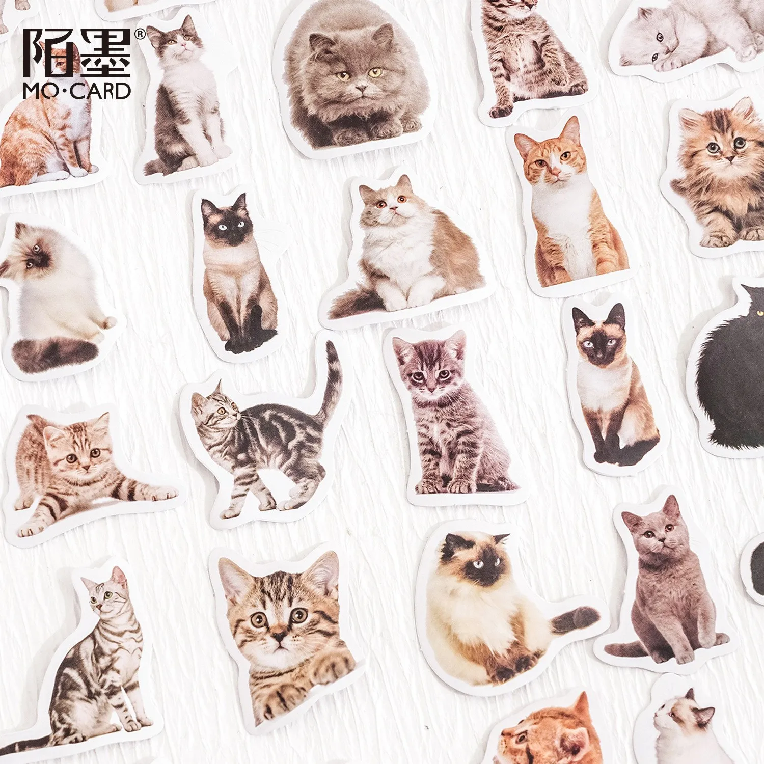 45 Pcs Leuke Kat Stickers Kitty Stickers Decals Voor Kinderen Speelgoed Geschenken Plakboek Ambachten Arts Journaling