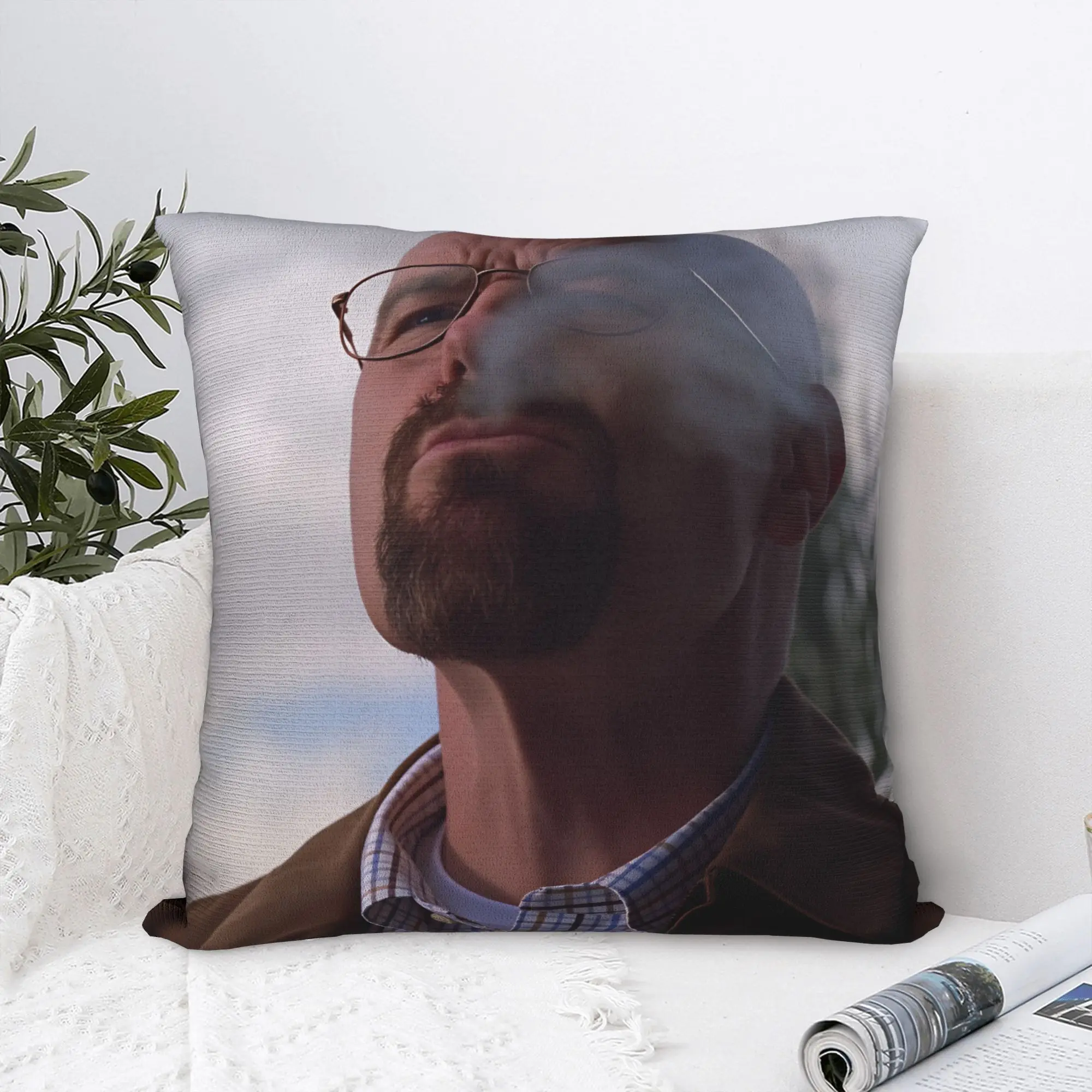 Pillow Cover Saul Goodman Actor  Breaking Bad Morden Pillow Case For Sofa Home Decoration Pillowcases