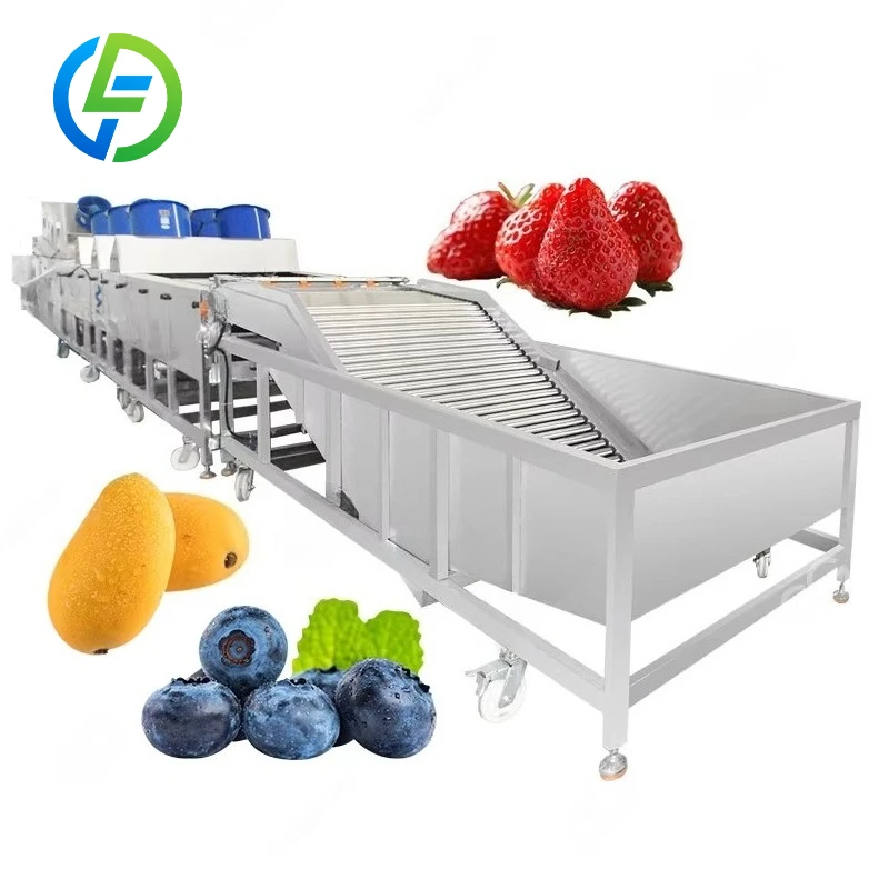 Customized Tomato Mushroom Washing Sorting Weighting Packing Frozen Fruit and Vegetables Blanching Cleaning Cutting Machine