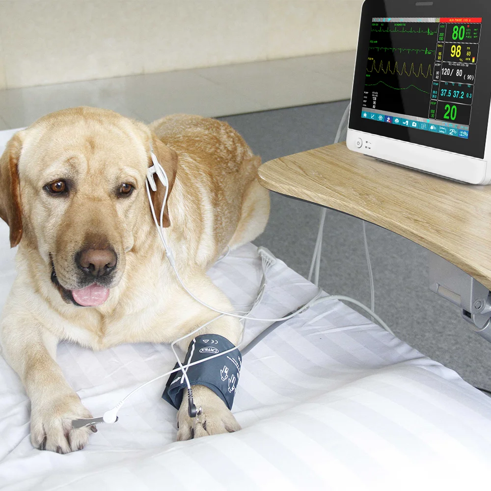 SAFVET CM9100 Portable Vet Vital Sign Patient Monitor Multiparametros Veterinarian