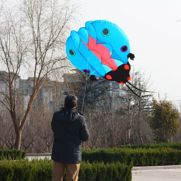 10 SQM Easy Flying Ladybug Inflatable Kite From China