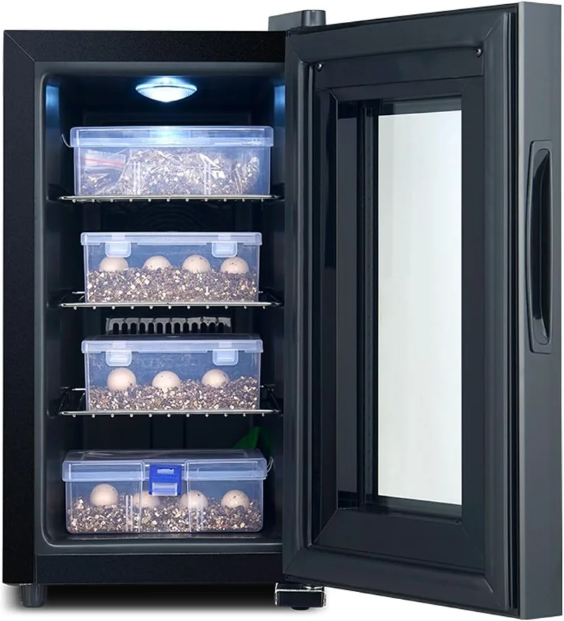 Incubatrice tartarughe fai da te: come scegliere e utilizzare l’incubatrice ideale