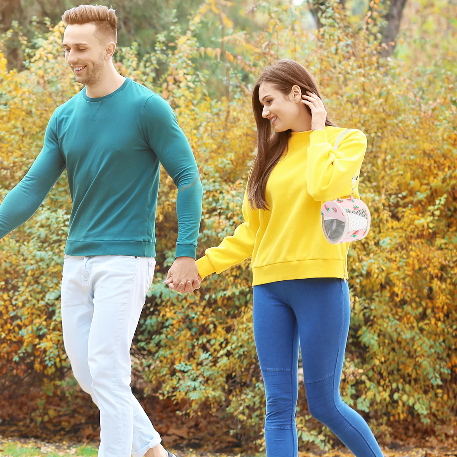 

Portable Small Pet Carrier Bag for Travel Walking Park Use with Transparent Observation Window Comfortable Design