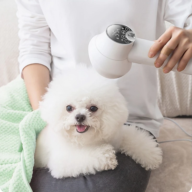 Pet Grooming Machine Cat Grooming Quick Drying Hair Dryer Intelligent Small Dog Bathing and Water Blowing Machine