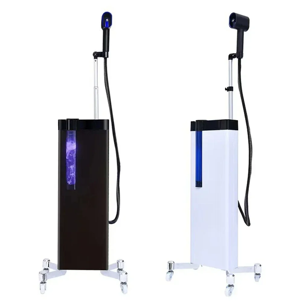 Nano Hair Steamer Hooded Dryer, 3-in-1 Function, Negative Ions, Blue Light, Adjus Stand for Nourishing Dry Hair