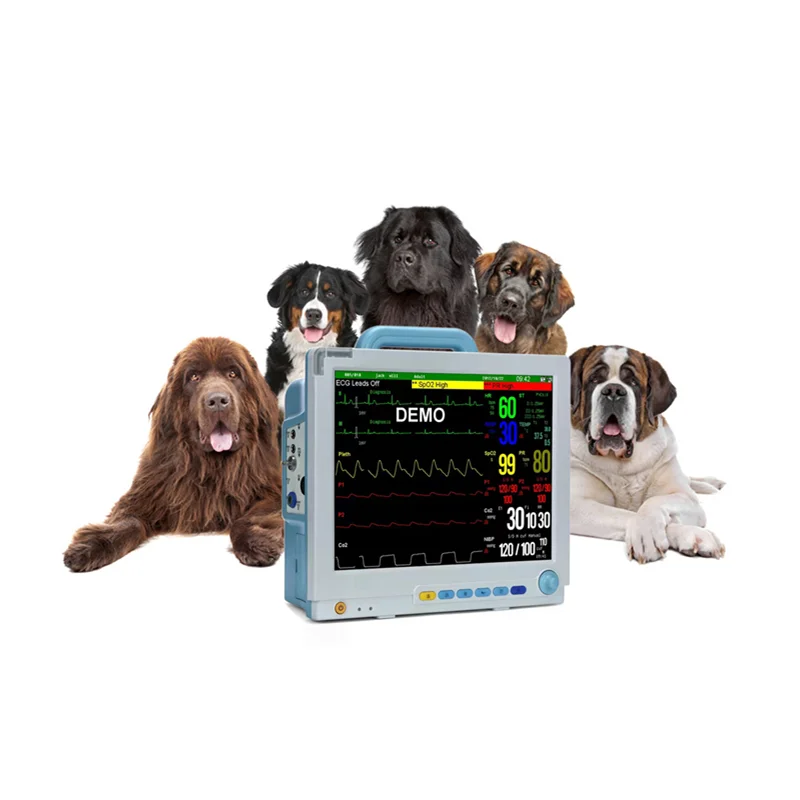 

Veterinary Pressure Medical Multiparametric Veterinary 12'' Standard 6Parameters Pet Veterinary