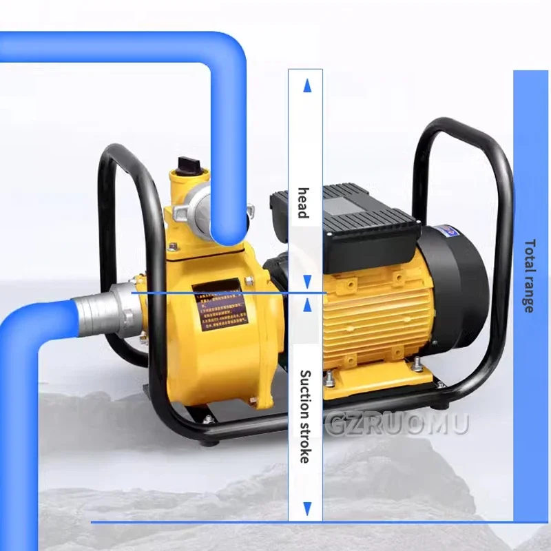 High Flow Agricultural Irrigation Water Pump, Household High Lift Pumping Machine, 220V Pumping Self Priming Water Pump