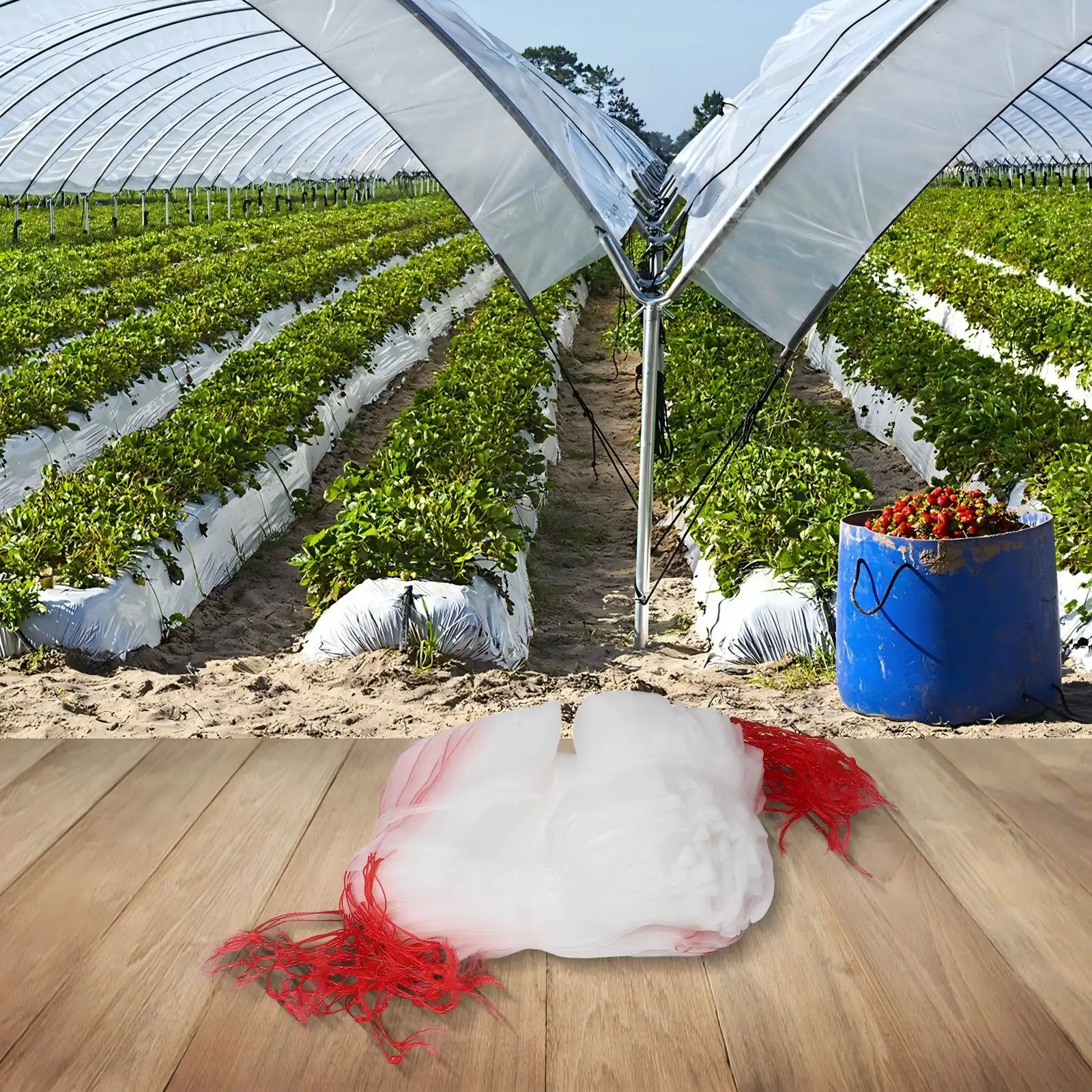 Fruit Harvesting Garden Bag For Fruits Fruit Netting Bags 15*25cm 100 Pieces Pack Effective For Fruit Safeguarding