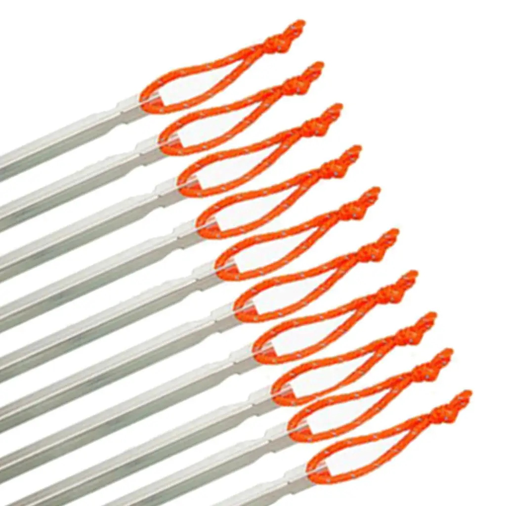 

10pcs Professional Aluminum Alloy Outdoor Family Tent Stake Pegs Ground Nail Canopy Stakes Beach Kit