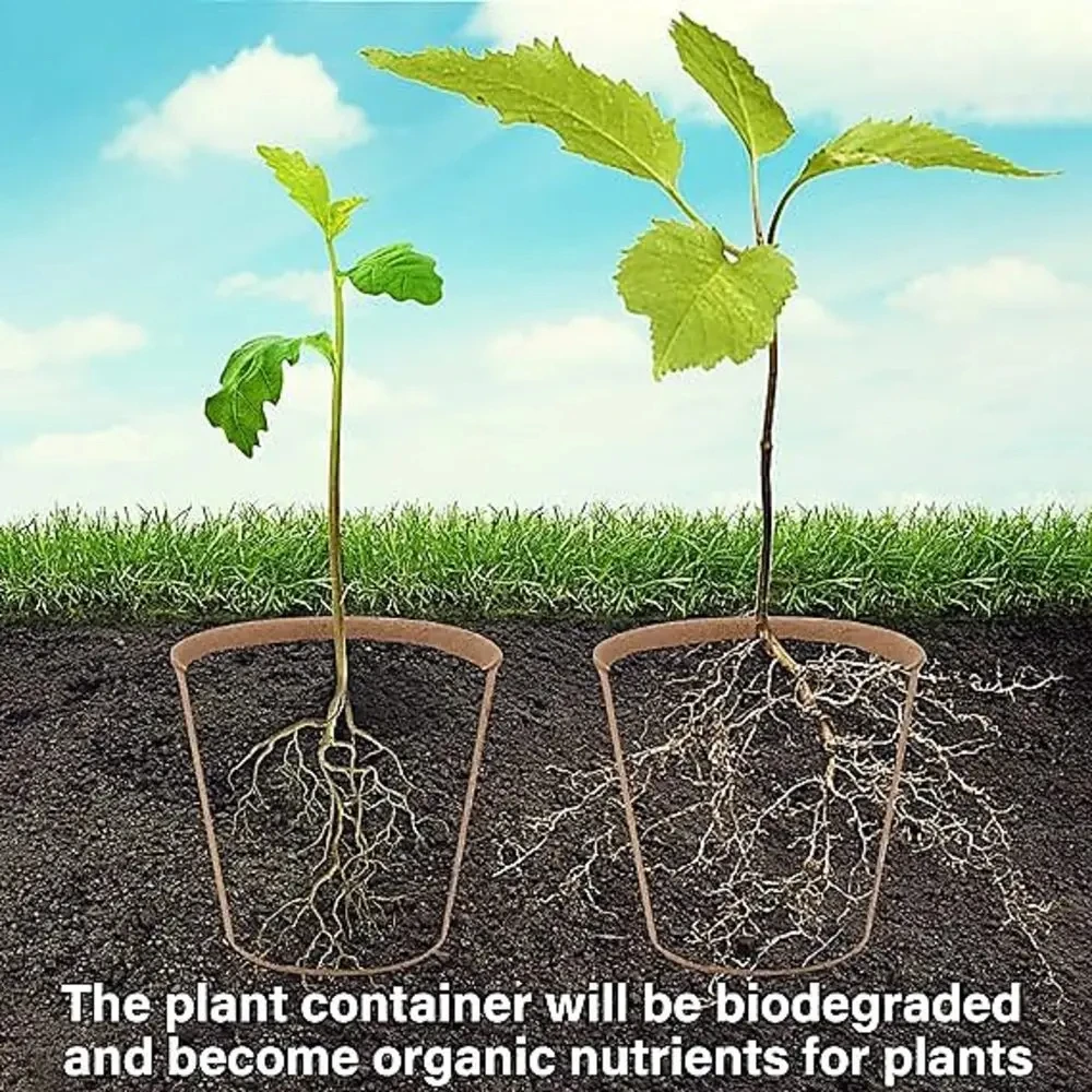 Seed Starter Biodegradable peat POTS, seedling planting POTS with labels, plant POTS with humidity domes