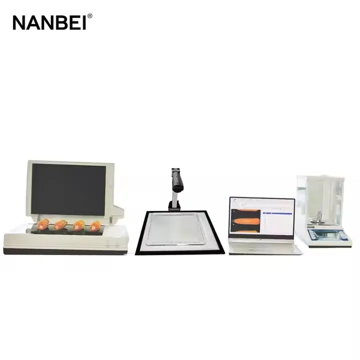 NPKZ-3 Seed Shape analyzer Crops Study Analysis System