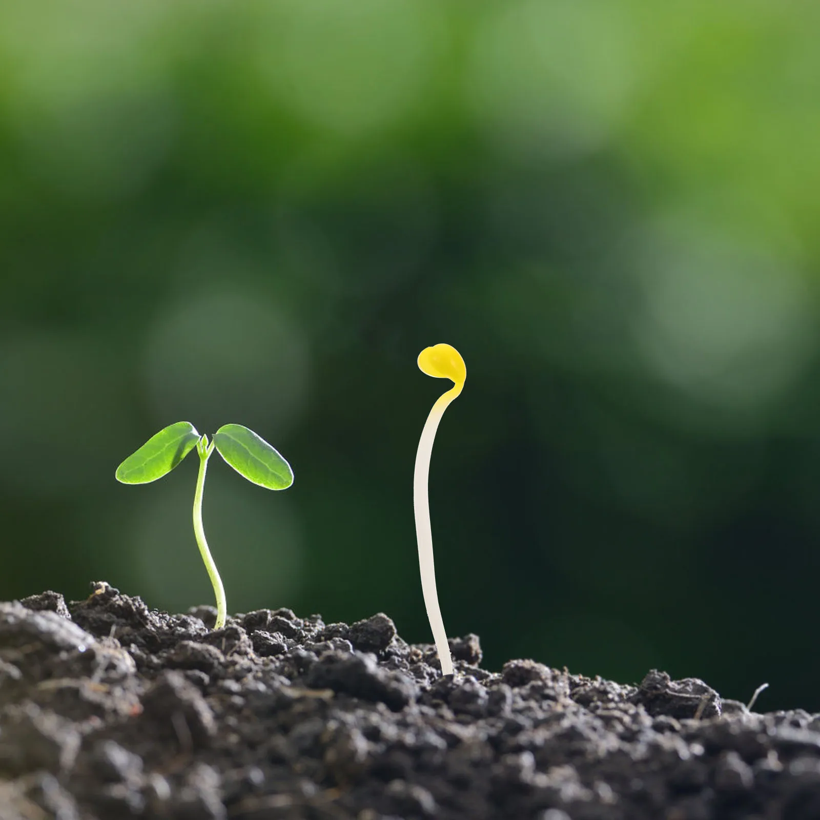 

50Pcs Artificial Bean Sprouts Lifelike Small Vegetable Decor Photoing Supply Decorative Bean Sprout Prop Realistic Display