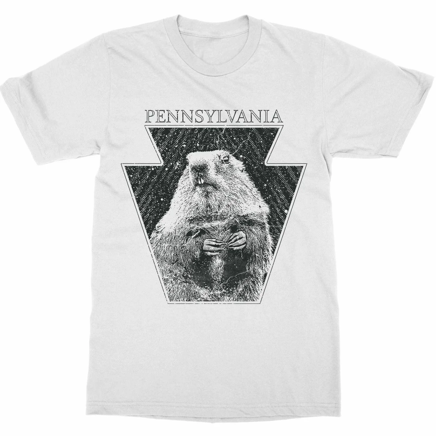 USA Patriot Winter Pennsylvaniiaa 'Groundhog Day' Mens T Shirt 100% Cotton Short Sleeve O-Neck Casual T-shirts New Size S-3XL