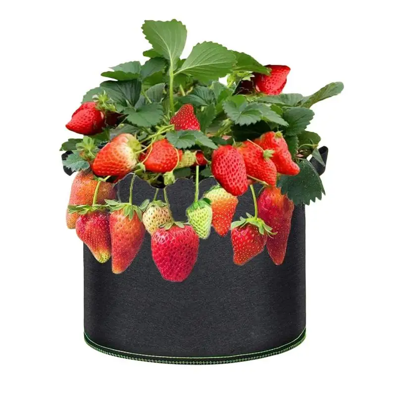 

1Pcs Vegetable/Flower/Plant Grow Bags 15 Gallon Thickened Non-Woven Grow Bags Aeration Fabric Pots with Handles