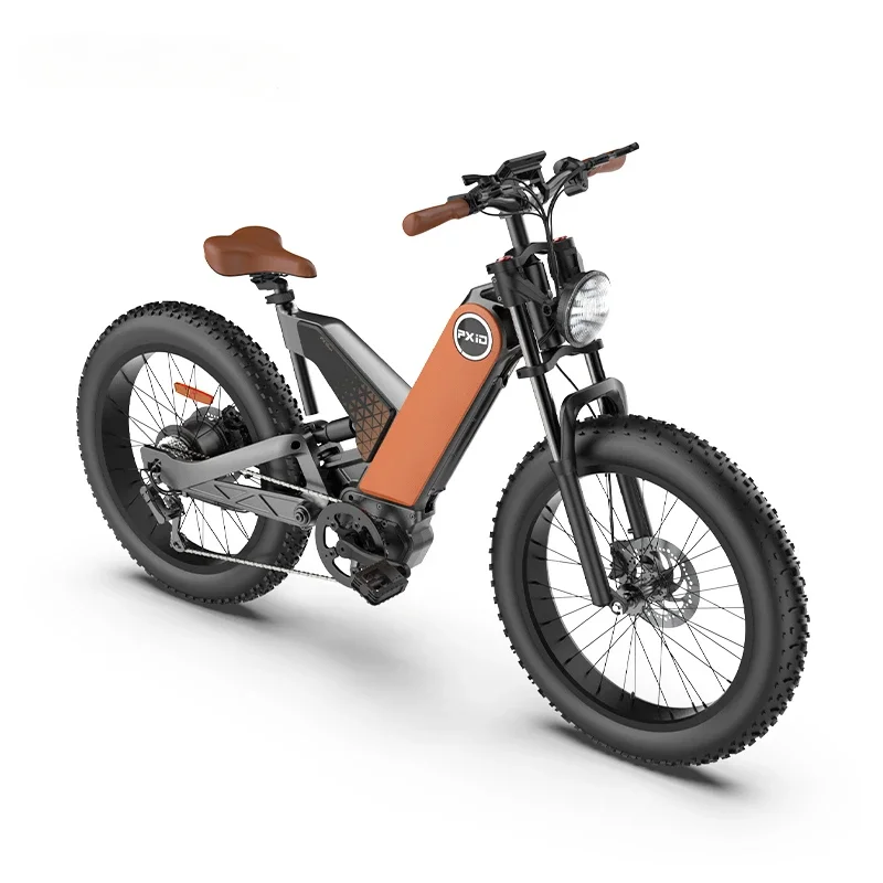 Retail Price custom electric dirt bikes 24inch  tire electric mountain bike full suspension, max 45km/h fast electric bike