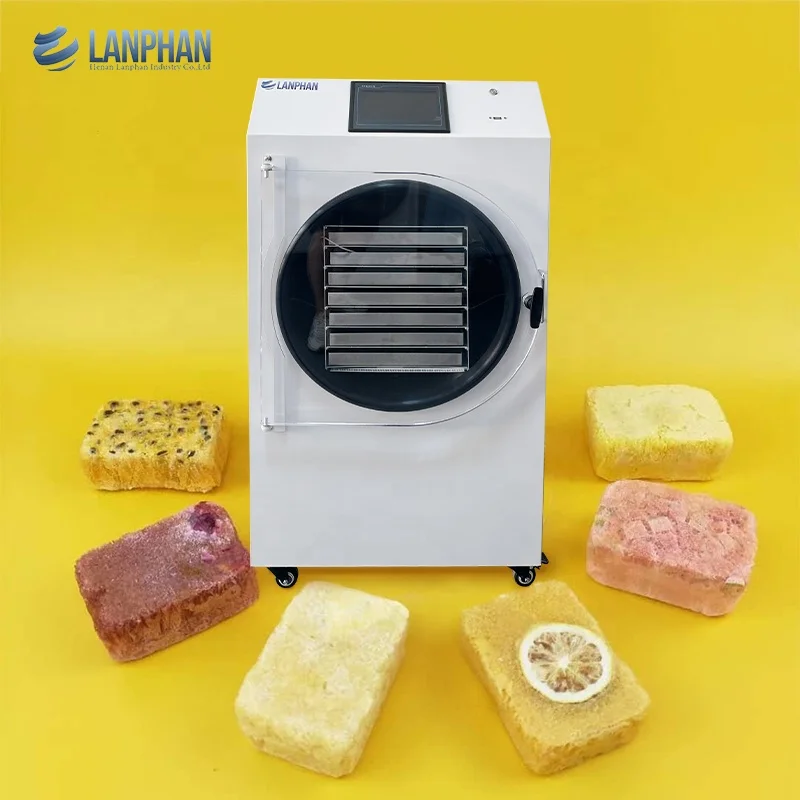 /batch Coffee Fruit Freeze Dried Vacuum Dryer Lyophilizer Home Freeze Drying Machine Food Processing Australia