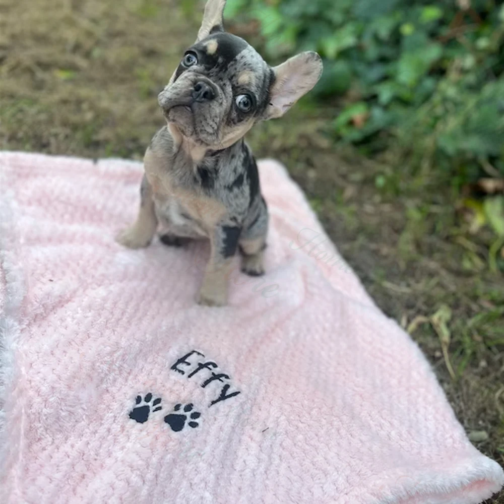 New Dog Blanket Embroidered Personalized Name Dog Blanket Puppy Soft Flannel Blanket Customized Name Paw Print Plush Pet Blanket