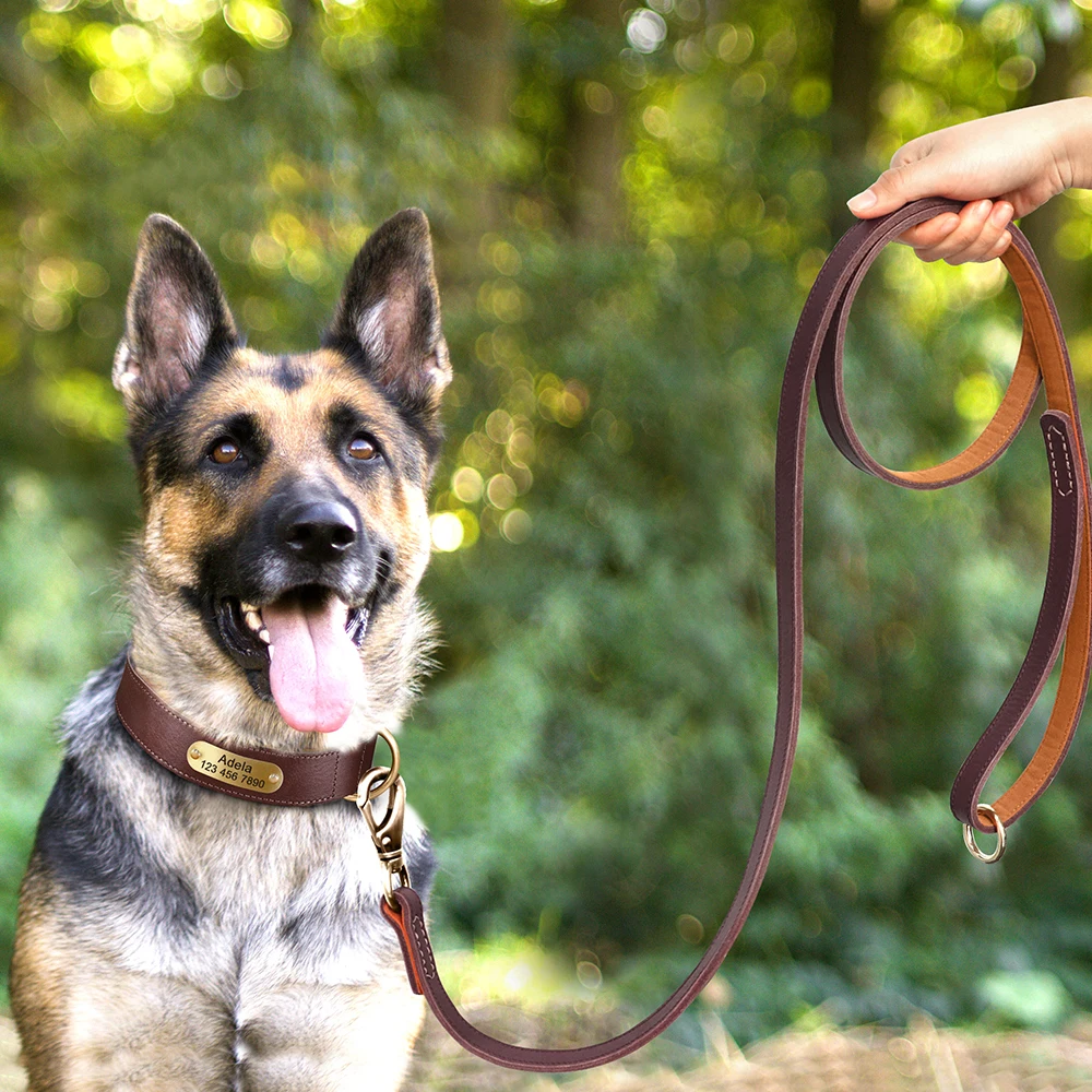 Personalisierte Hundehalsband-Leine aus echtem Leder, langlebige Hundehalsbänder, Gehbleine, Seil, frei mit Gravur für kleine, mittelgroße und große Hunde – Detail 40
