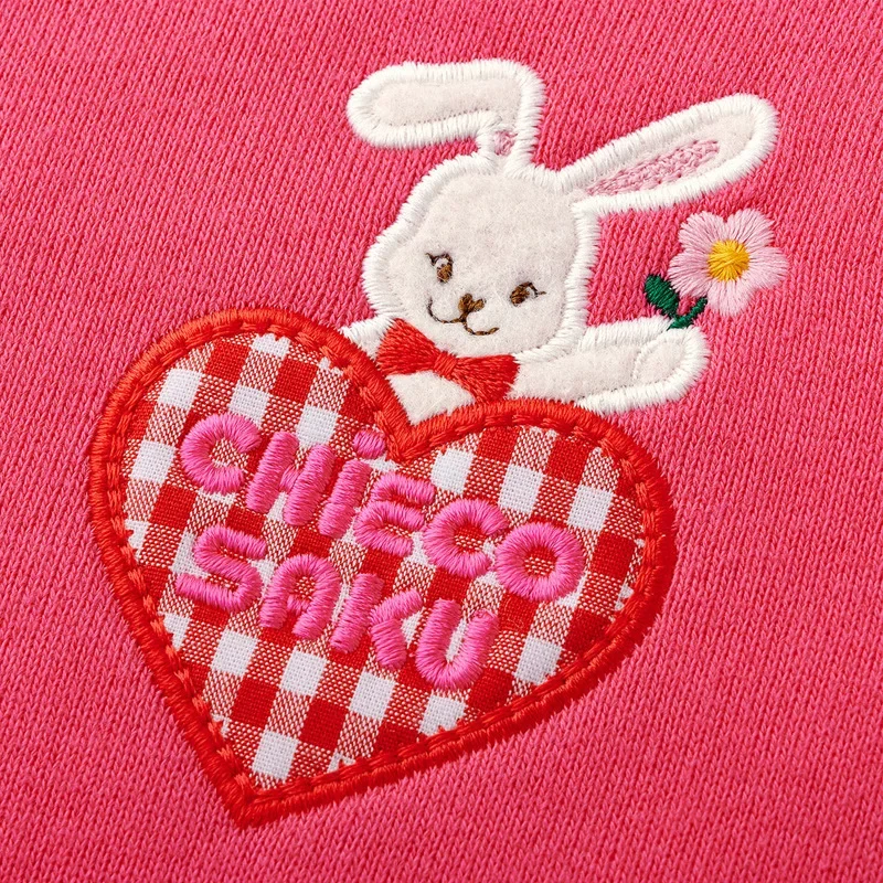 Girls\' pullover hoodies Spring  Autumn  Cartoon rabbit hoodie Bunny sweatshirts Letter Embroidery Sweater kids clothes girls