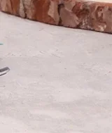 

17 мм шаровая головка шланга присоска для беспроводного автомобильного зарядного устройства 20 Вт автомобильный держатель для мобильного телефона и планшета аксессуары 2 длины